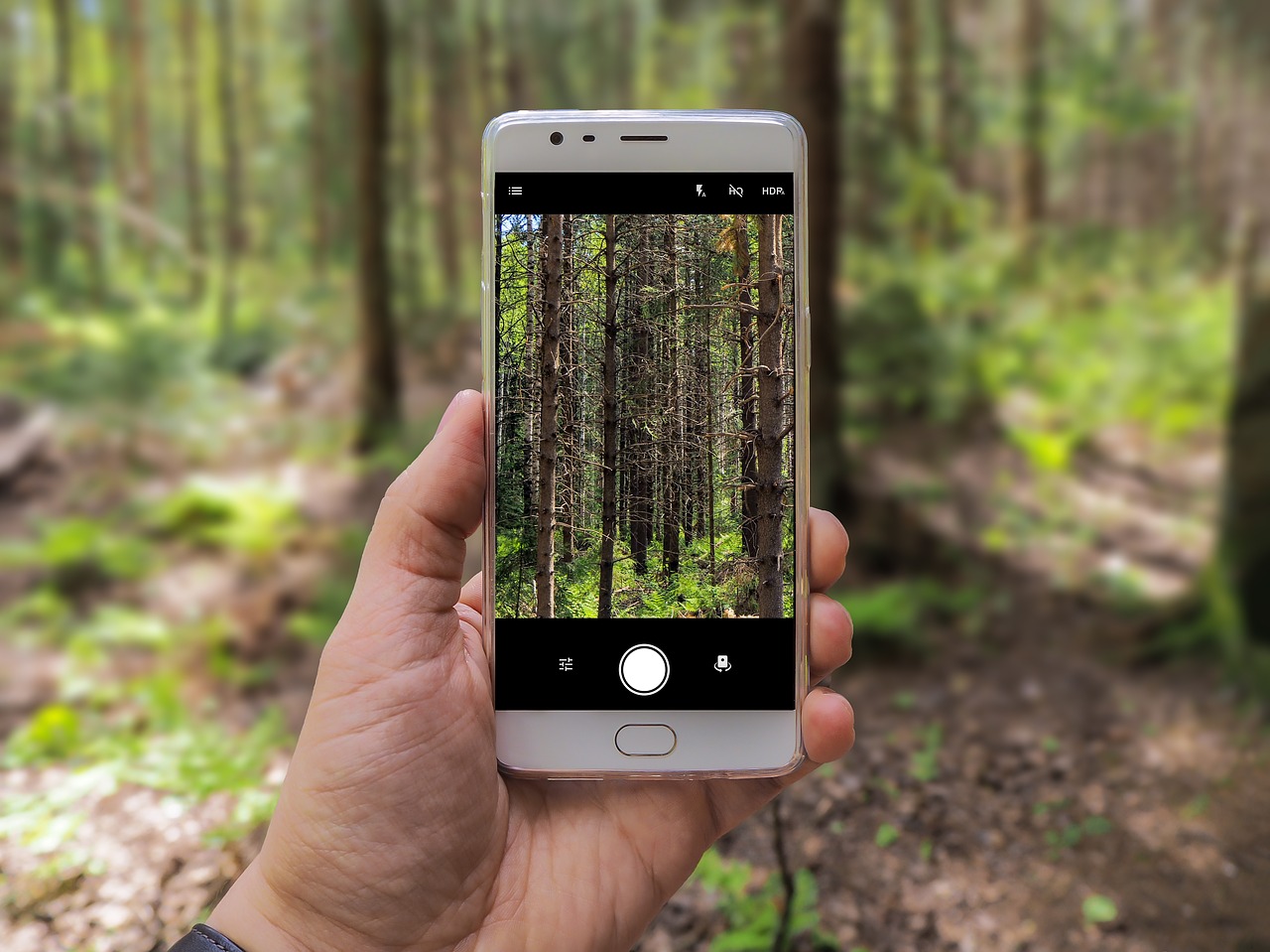 Top 5 Best Photo Recovery Apps for Android
